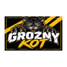 Wycieraczka „Groźny kot” – czarno-żółty wzór z kotem | Imperium