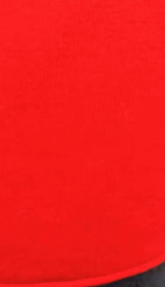 bluza patriotyczna z Orłem 2 RP